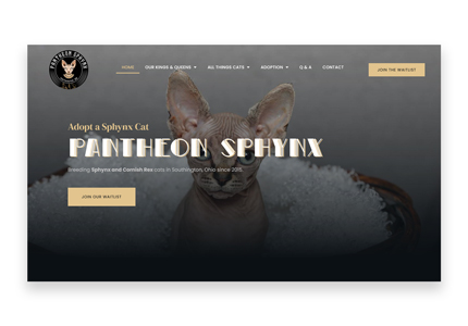 Cat breeder web design